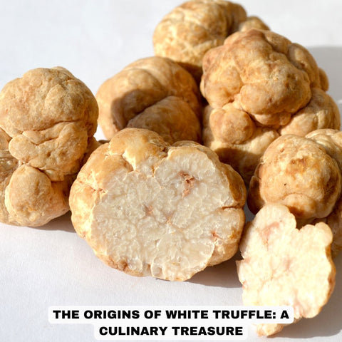 The Origins of White Truffle: A Culinary Treasure