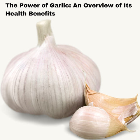 The Power of Garlic: An Overview of Its Health Benefits