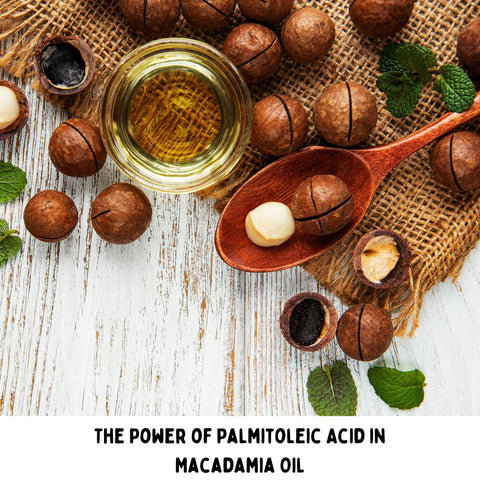 The Power of Palmitoleic Acid in Macadamia Oil