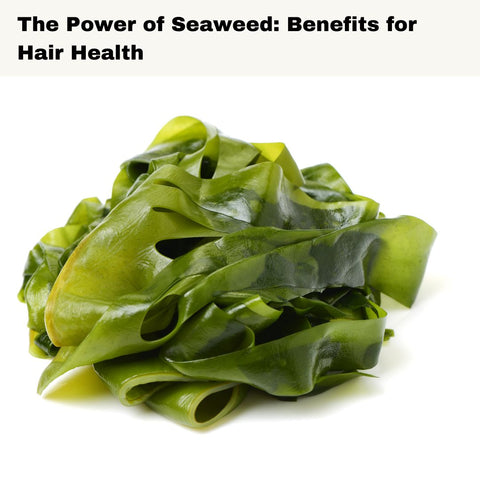 The Power of Seaweed: Benefits for Hair Health