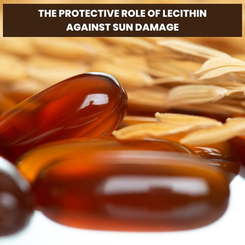 The Protective Role of Lecithin Against Sun Damage