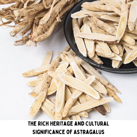 The Rich Heritage and Cultural Significance of Astragalus