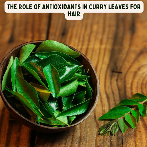 The Role of Antioxidants in Curry Leaves for Hair