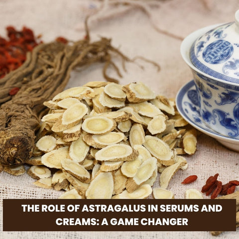 The Role of Astragalus in Serums and Creams: A Game Changer