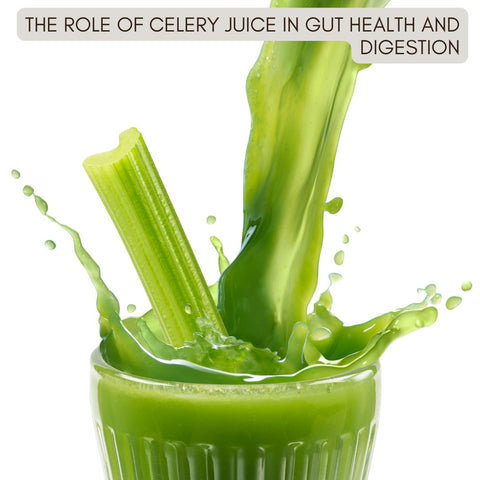 The Role of Celery Juice in Gut Health and Digestion