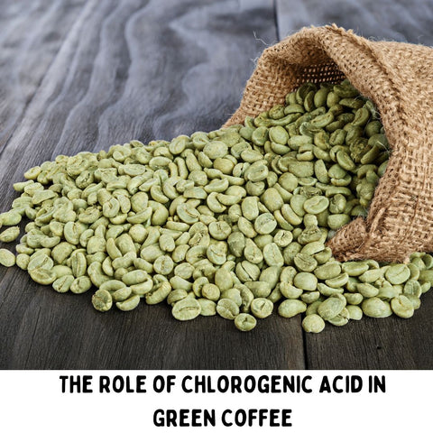 The Role of Chlorogenic Acid in Green Coffee