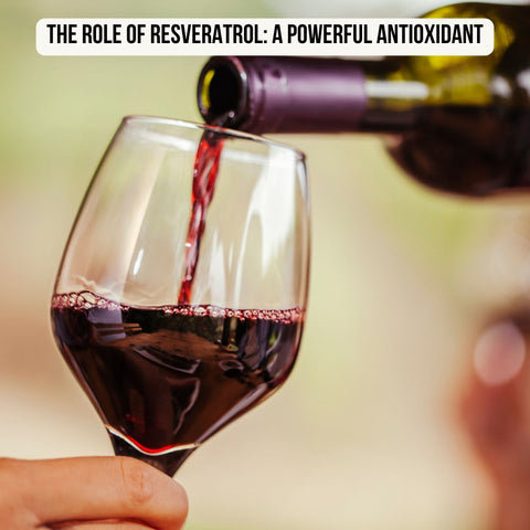 The Role of Resveratrol: A Powerful Antioxidant