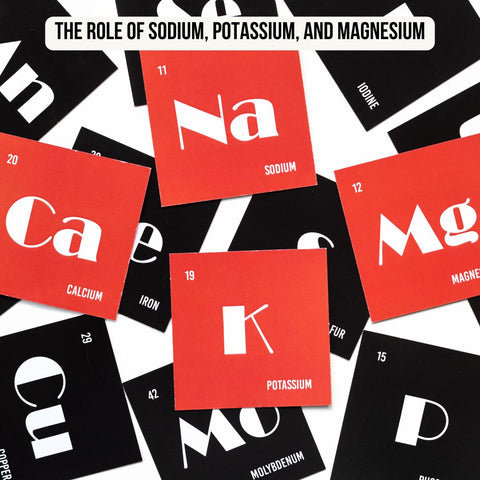 The Role of Sodium, Potassium, and Magnesium