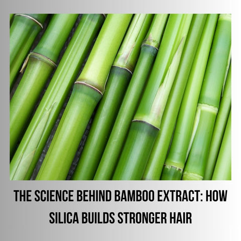 The Science Behind Bamboo Extract: How Silica Builds Stronger Hair