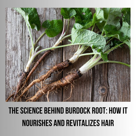 The Science Behind Burdock Root: How It Nourishes and Revitalizes Hair