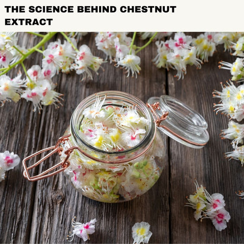 The Science Behind Chestnut Extract