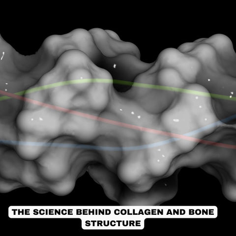 The Science Behind Collagen and Bone Structure