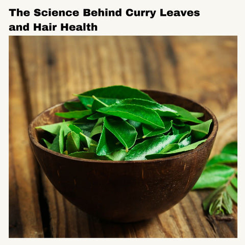 The Science Behind Curry Leaves and Hair Health