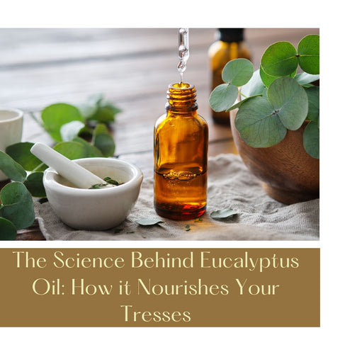 The Science Behind Eucalyptus Oil: How it Nourishes Your Tresses