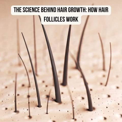 The Science Behind Hair Growth: How Hair Follicles Work