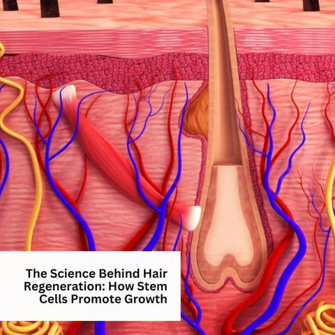 The Science Behind Hair Regeneration: How Stem Cells Promote Growth