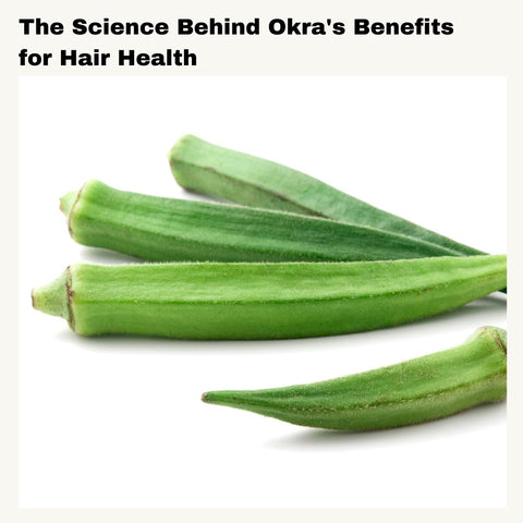 The Science Behind Okra's Benefits for Hair Health