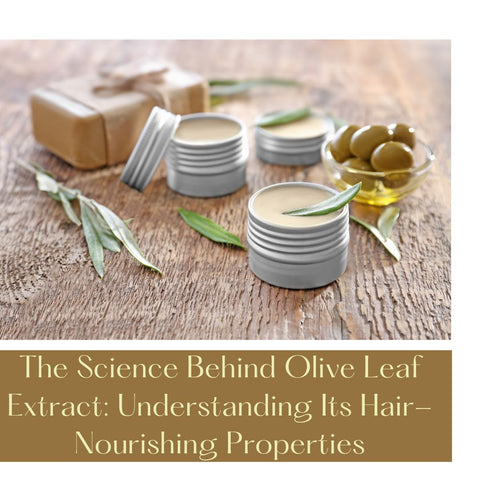 The Science Behind Olive Leaf Extract: Understanding Its Hair-Nourishing Properties