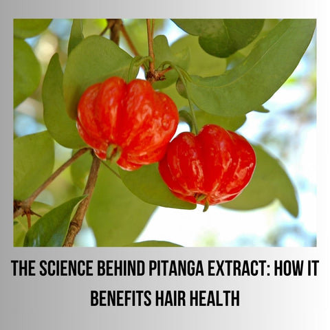 The Science Behind Pitanga Extract: How it Benefits Hair Health