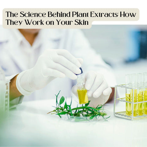 The Science Behind Plant Extracts: How They Work on Your Skin