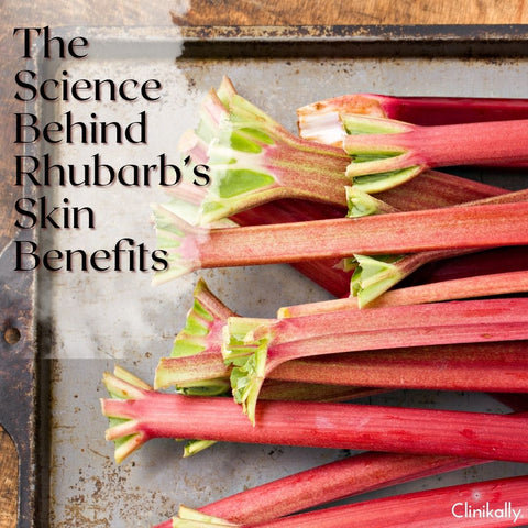 The Science Behind Rhubarb’s Skin Benefits