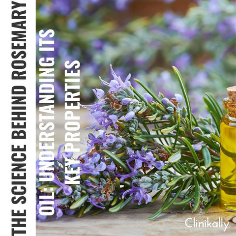 The Science Behind Rosemary Oil: Understanding Its Key Properties