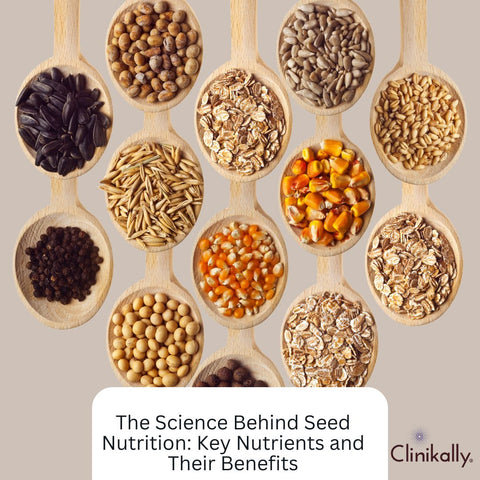 The Science Behind Seed Nutrition: Key Nutrients and Their Benefits