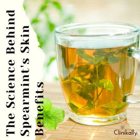 The Science Behind Spearmint's Skin Benefits