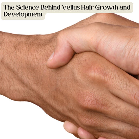 The Science Behind Vellus Hair Growth and Development