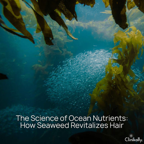 The Science of Ocean Nutrients: How Seaweed Revitalizes Hair