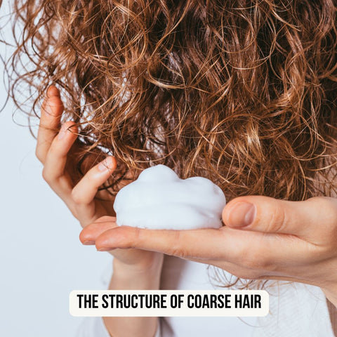 The Structure of Coarse Hair
