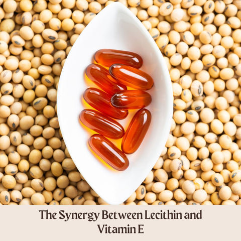 The Synergy Between Lecithin and Vitamin E