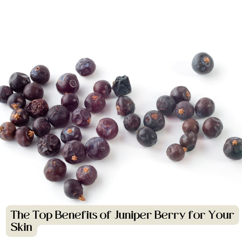 The Top Benefits of Juniper Berry for Your Skin