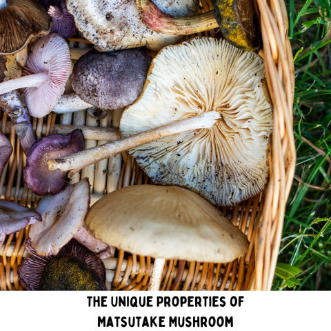 The Unique Properties of Matsutake Mushroom
