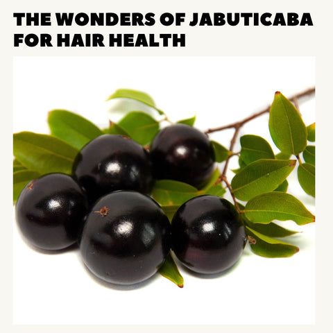 The Wonders of Jabuticaba for Hair Health