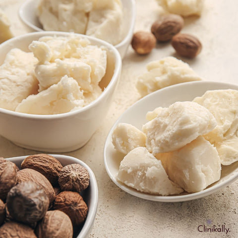 Fresh shea butter with whole shea nuts in bowls