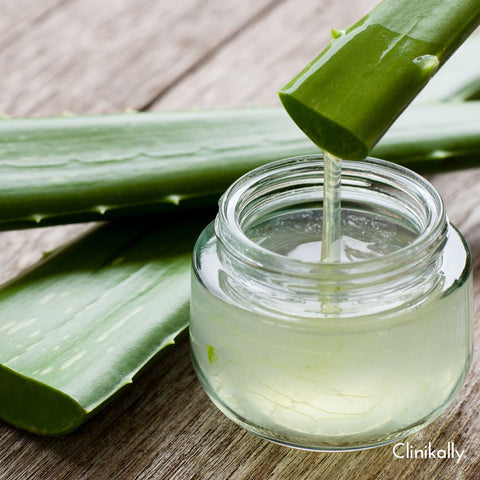 The science behind Aloe Vera's healing properties