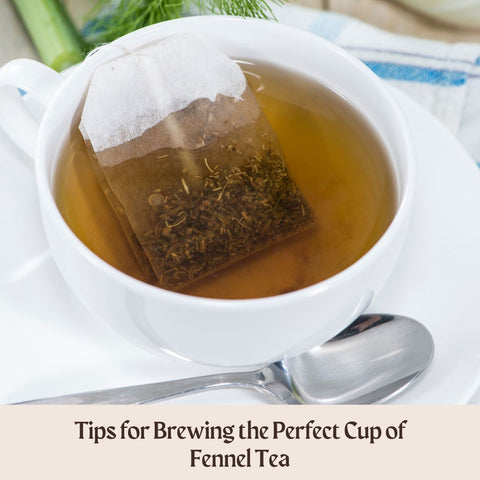 Tips for Brewing the Perfect Cup of Fennel Tea
