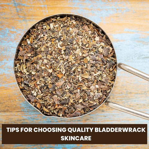 Tips for Choosing Quality Bladderwrack Skincare