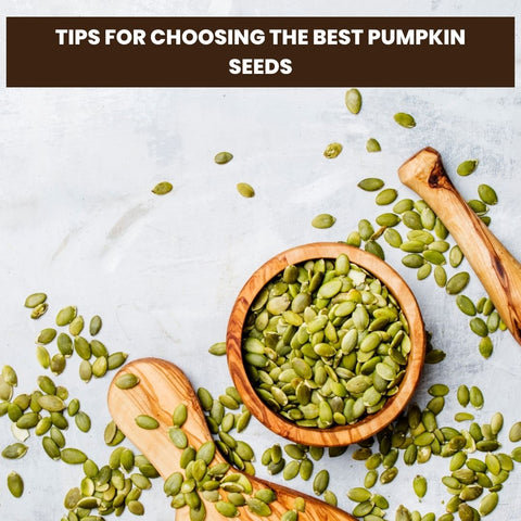 Tips for Choosing the Best Pumpkin Seeds
