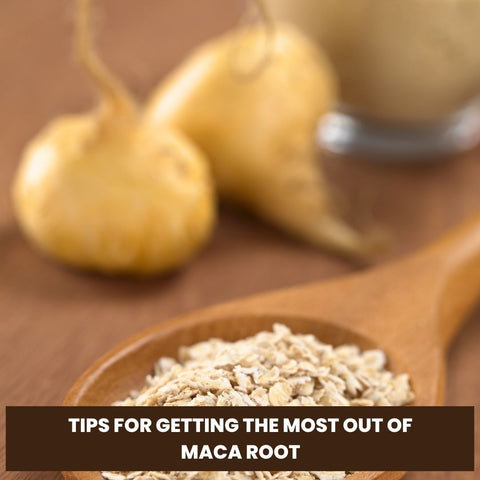 Tips for Getting the Most Out of Maca Root