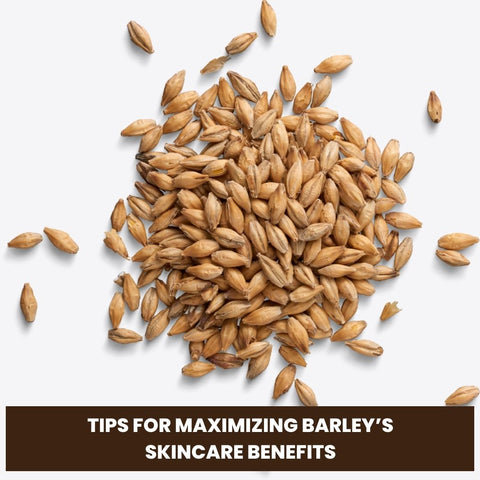 Tips for Maximizing Barley’s Skincare Benefits