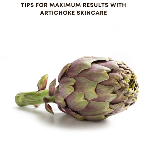 Tips for Maximum Results with Artichoke Skincare