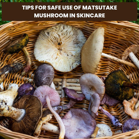 Tips for Safe Use of Matsutake Mushroom in Skincare