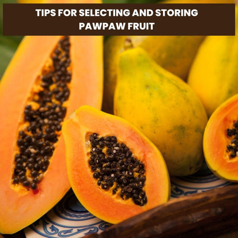 Tips for Selecting and Storing Pawpaw Fruit