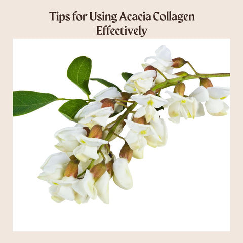 Tips for Using Acacia Collagen Effectively