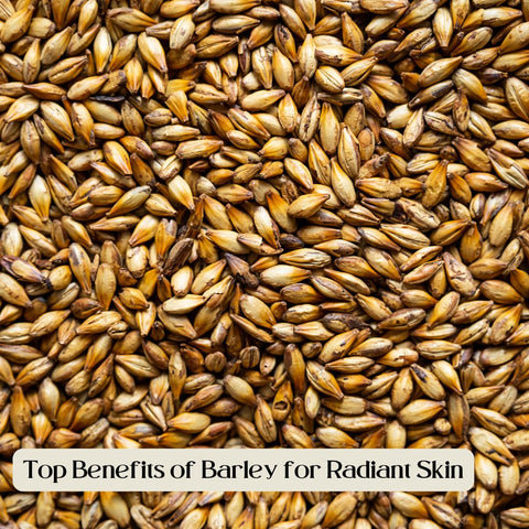 Top Benefits of Barley for Radiant Skin