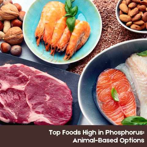 Top Foods High in Phosphorus: Animal-Based Options