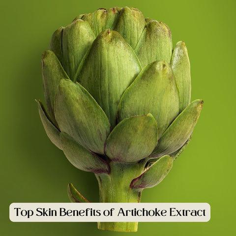 Top Skin Benefits of Artichoke Extract