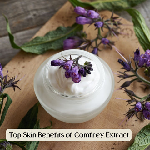 Top Skin Benefits of Comfrey Extract